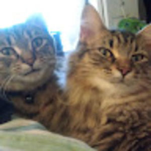 Meet your Posher, Rory